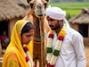 उंट पाहिजे! नवरदेवाचा हट्ट; पण सासरच्यांनी म्हैस दिली आणि पुढे घडलं असं की...