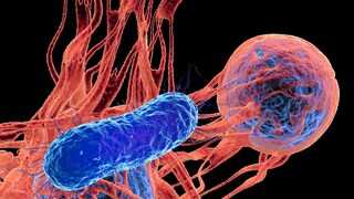 प्रतीकात्मक फोटो