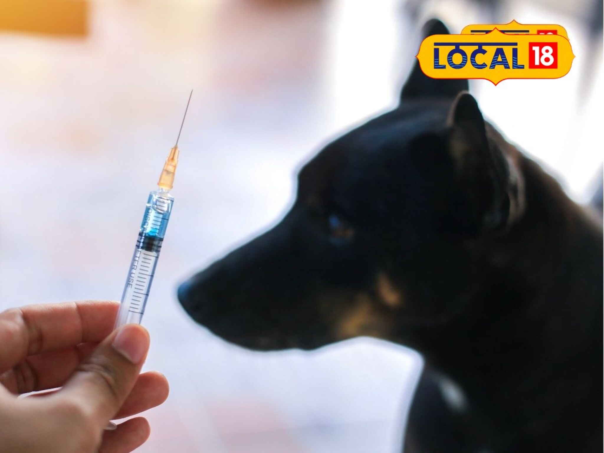 Chhatrapati Sambhajiangar: मुलाचा मृत्यू रेबीजने नाही, तर 19 नातेवाईकांना का दिलं इंजेक्शन? महापालिकेनं सांगितलं धक्कादायक कारण....