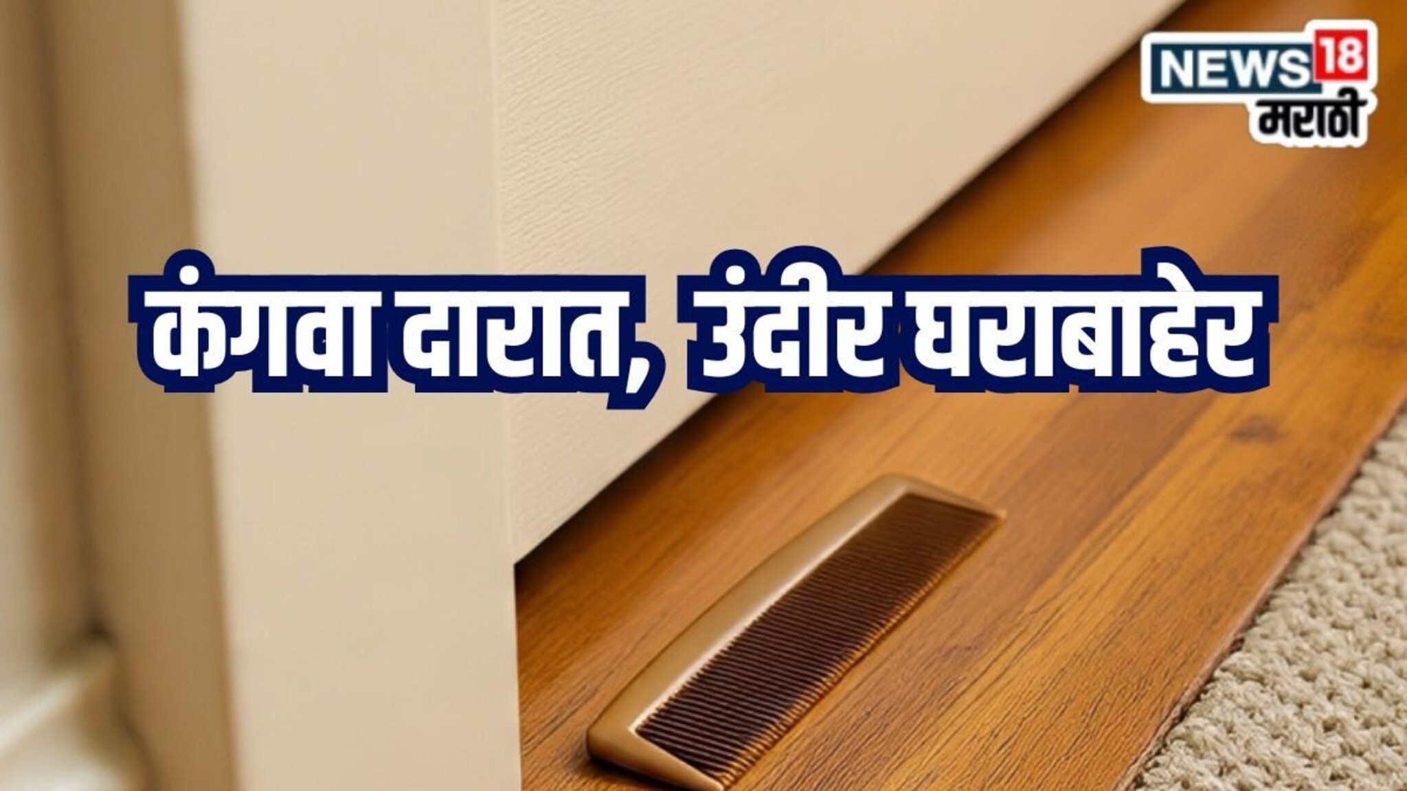 Kitchen Jugaad Video : कंगवा ठेवा दारात, उंदीर बिलकुल येणार घरात