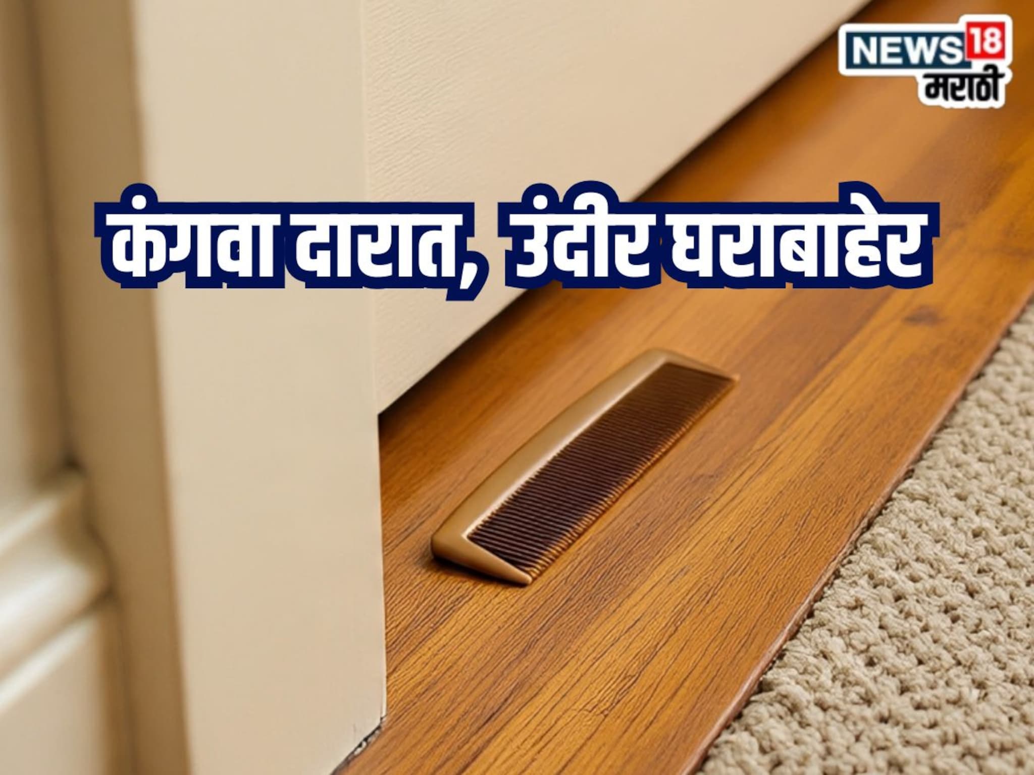 Kitchen Jugaad Video : कंगवा ठेवा दारात, उंदीर बिलकुल येणार घरात