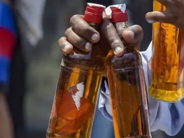 दसरा-दिवाळीत ड्राय डे? 'या' महिन्यात किती दिवस बंद असणार मद्य विक्री?  