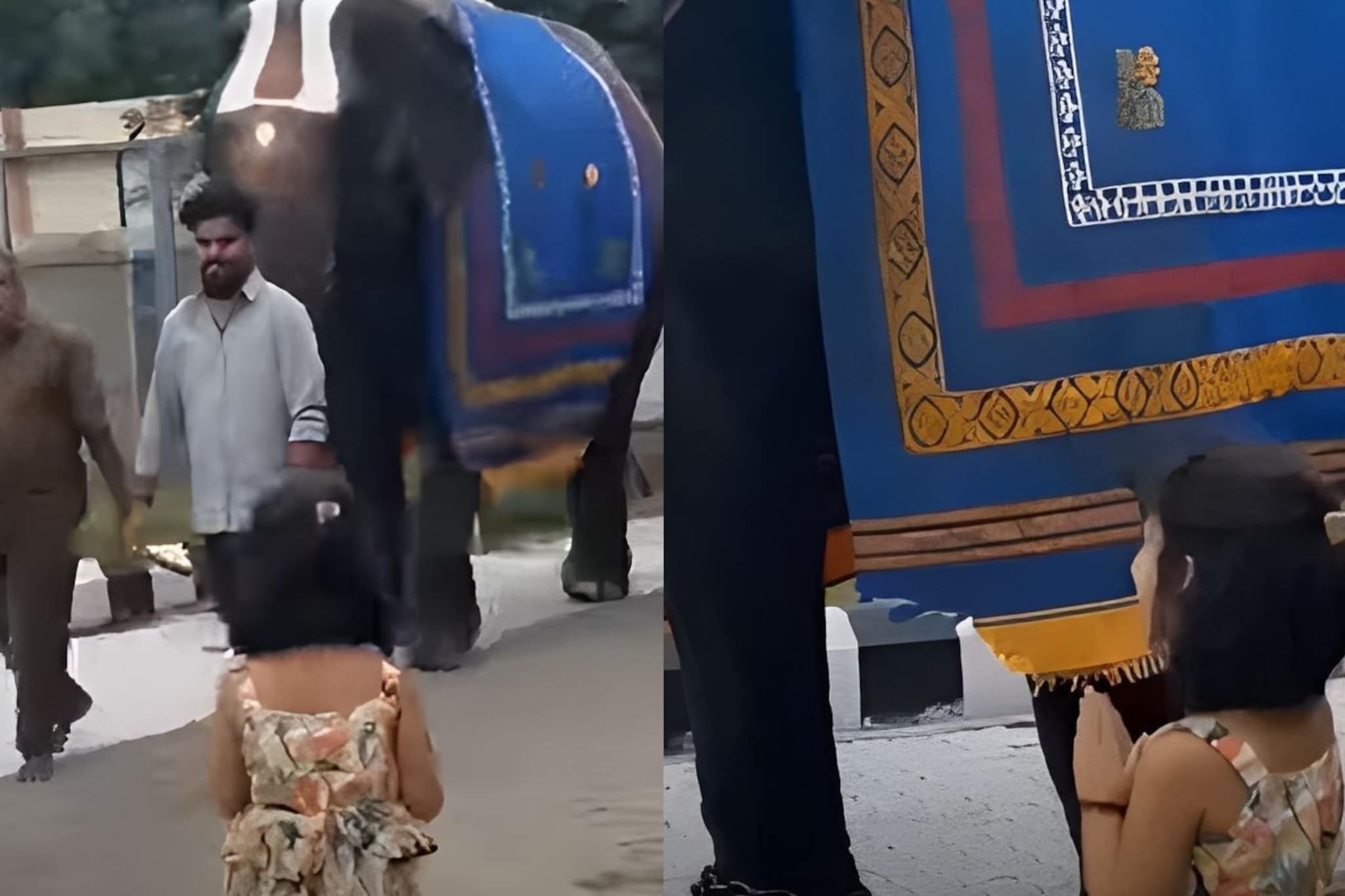 बाप्पाच वाटला, हत्तीला पाहताच चिमुकलीने केला नमस्कार; पुढे घडलं ते थक्क करणारं