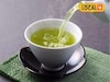 Health Tips: ग्रीन टी पिल्यानं खरंच वजन कमी होतं? नेमके फायदे काय? आहारतज्ज्ञांनी दिली माहिती