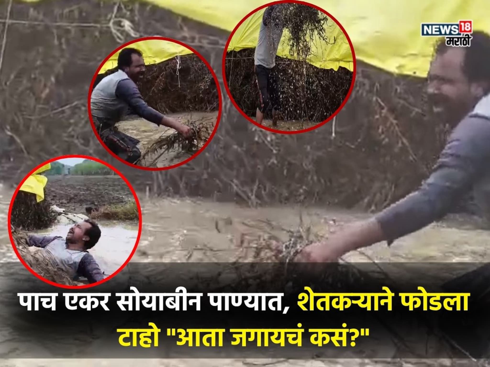 'ढगफुटी'ने हाहाकार; 5 एकरवरचं सोयाबीन पाण्यात, लातूरच्या सुरेश चव्हाण यांचा हृदय पिळवटून टाकणारा आक्रोश, PHOTO