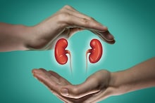 Kidney Health : मूत्रपिंडांची हानी रोखा, आतापासूनच बदला या सवयी, वाचा सविस्तर
