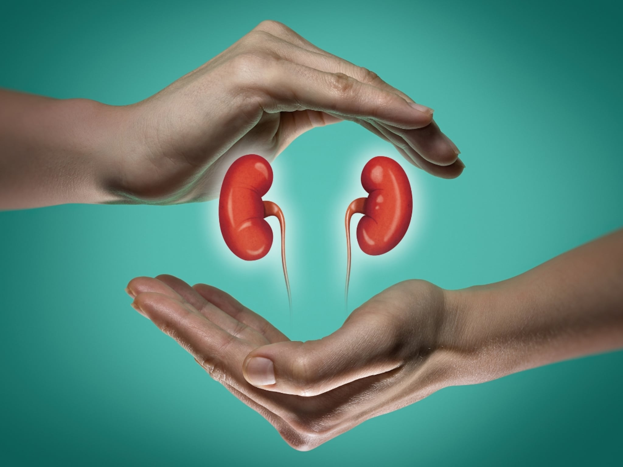Kidney Health : मूत्रपिंडांची हानी रोखा, आतापासूनच बदला या सवयी, वाचा सविस्तर