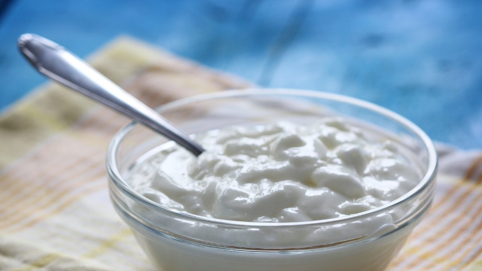 २ दिवसांत दही होते खराब? फ्रिजमध्ये ठेवण्याची 'ही' पद्धत बदला, टिकून राहील चव आणि पोषण 