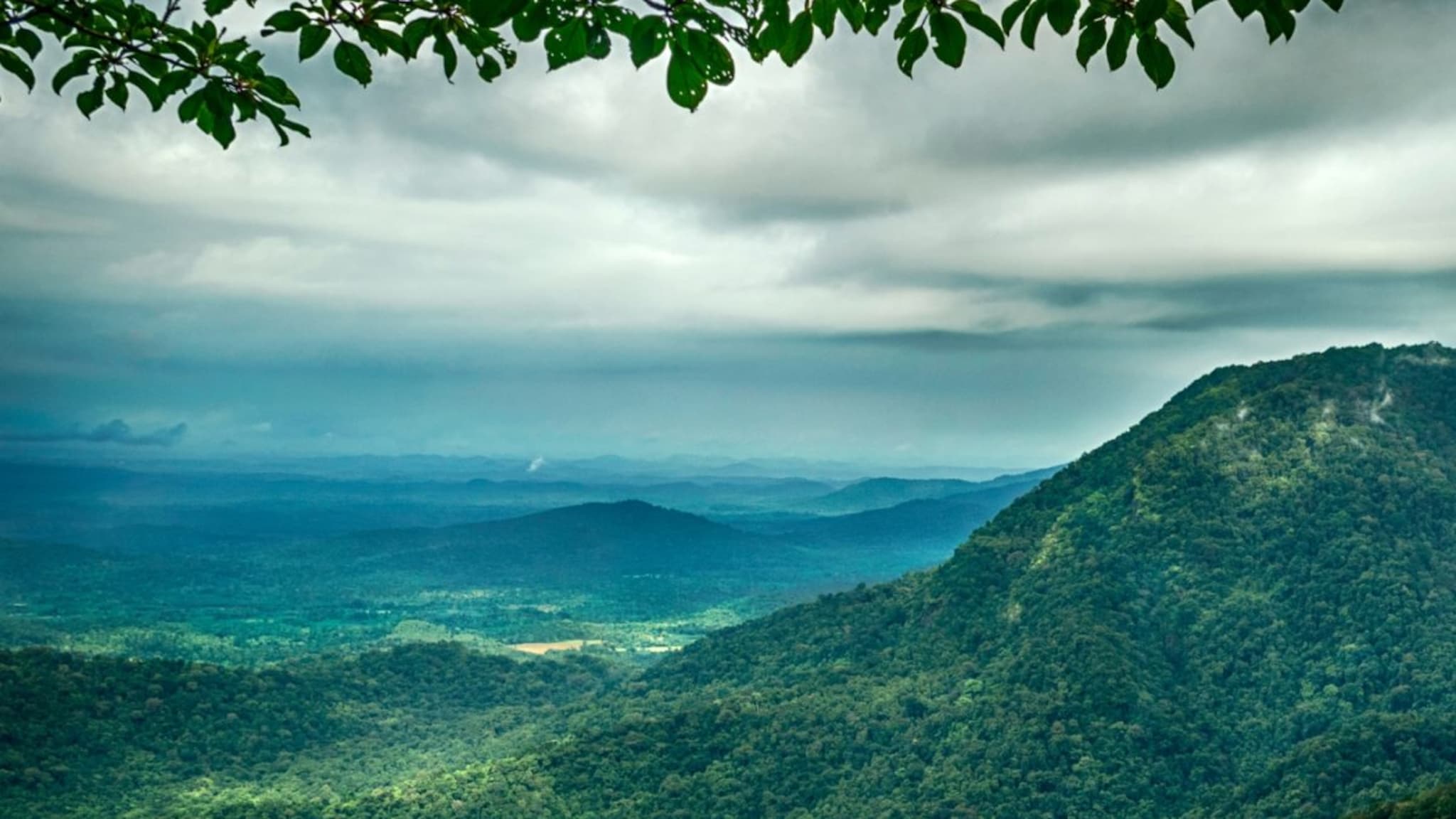 पावसाळ्यानंतरचा खरा स्वर्ग! दक्षिण भारतातील ही ५ हिल स्टेशन्स दूर करतील तुमचा थकवा अन् मन होईल शांत!