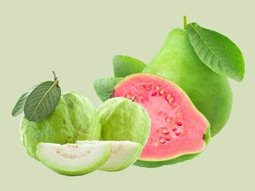 Guava