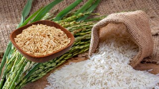 Old Rice Vs New Rice