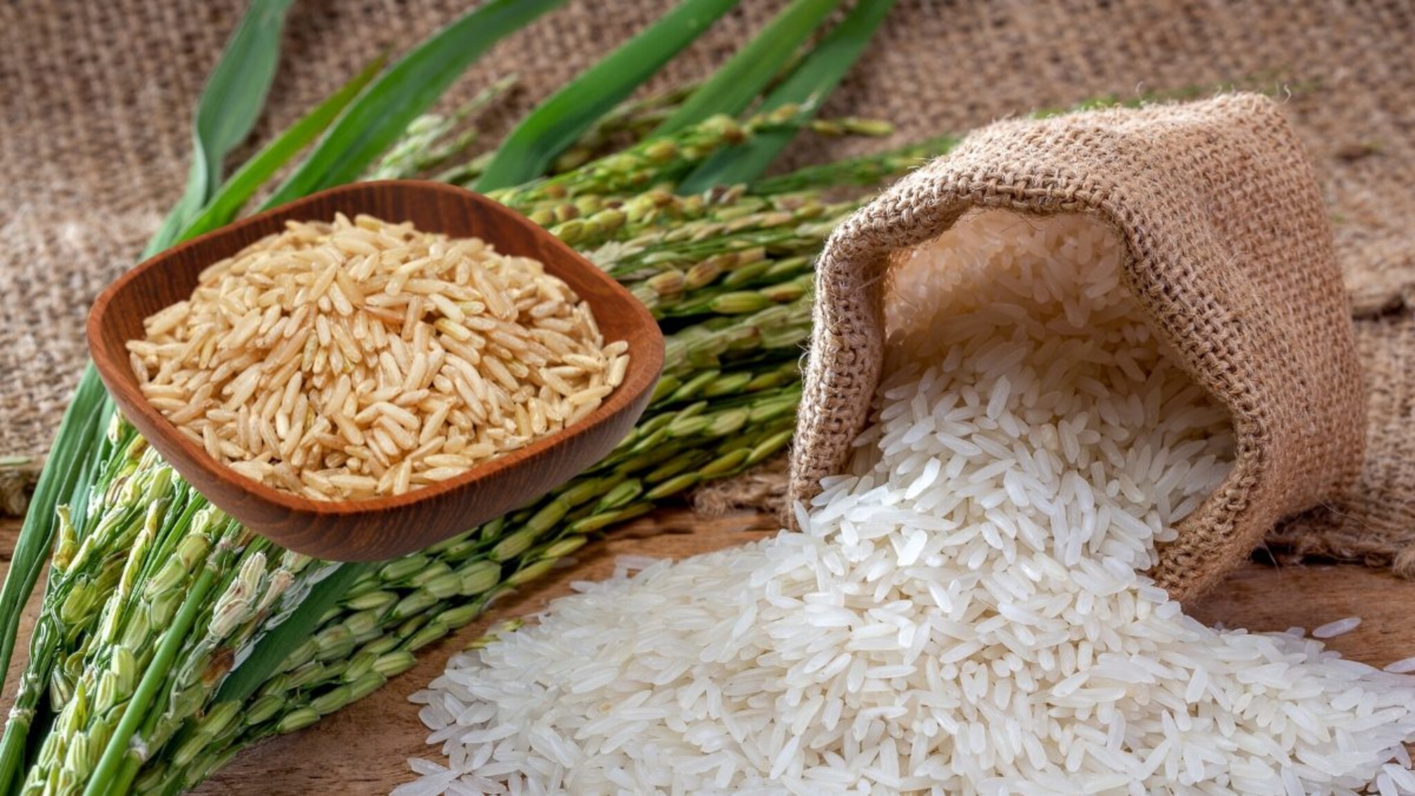 तांदूळ विकत घेताना तुम्हीही ही चूक करता का? 'नवीन' नव्हे, 'जुना' तांदूळच आहे खरा 'खजिना'! वाचा फायदे