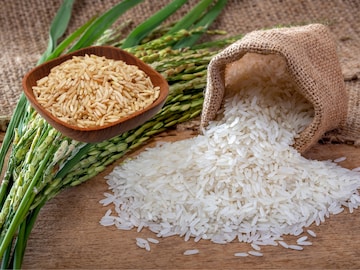 Old Rice Vs New Rice
