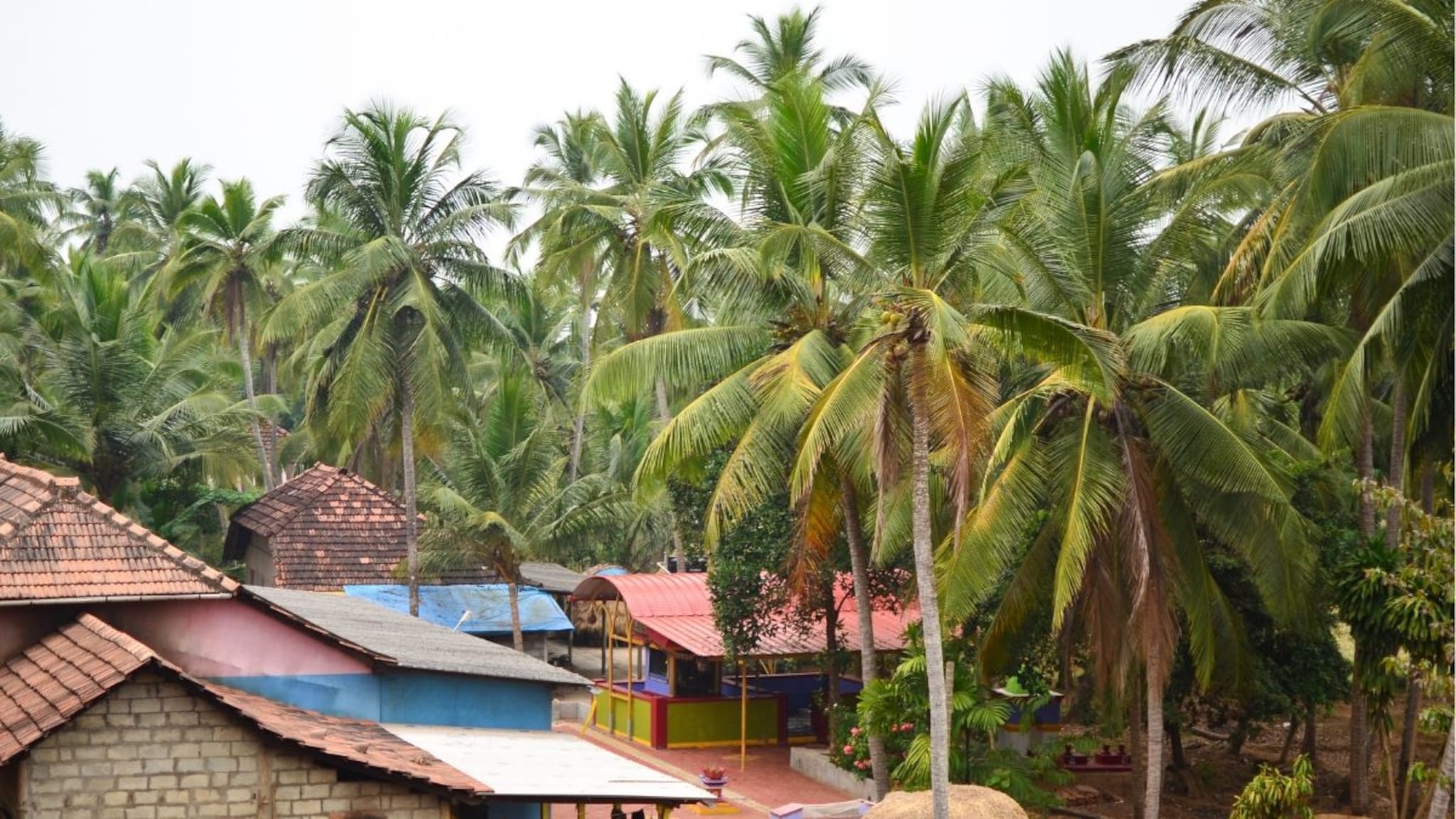 आशियातील सर्वात स्वच्छ 5 गावं, महाराष्ट्रातील 'या' गावाचा आहे समावेश; पर्यटक आवर्जुन देतात भेट!