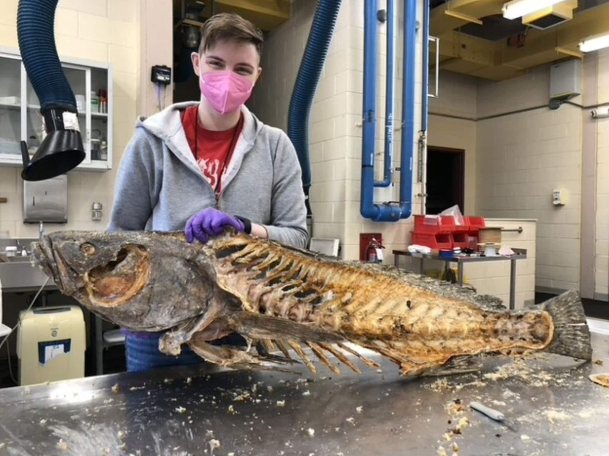 सोन्याचांदी सारखाच महाग आहे हा मासा; याचे काटेही विकले जातात