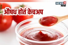 Food History : एकेकाळी औषध म्हणून वापरलं जायचं टोमॅटो केचअप, गंभीर आजारावर उपचार