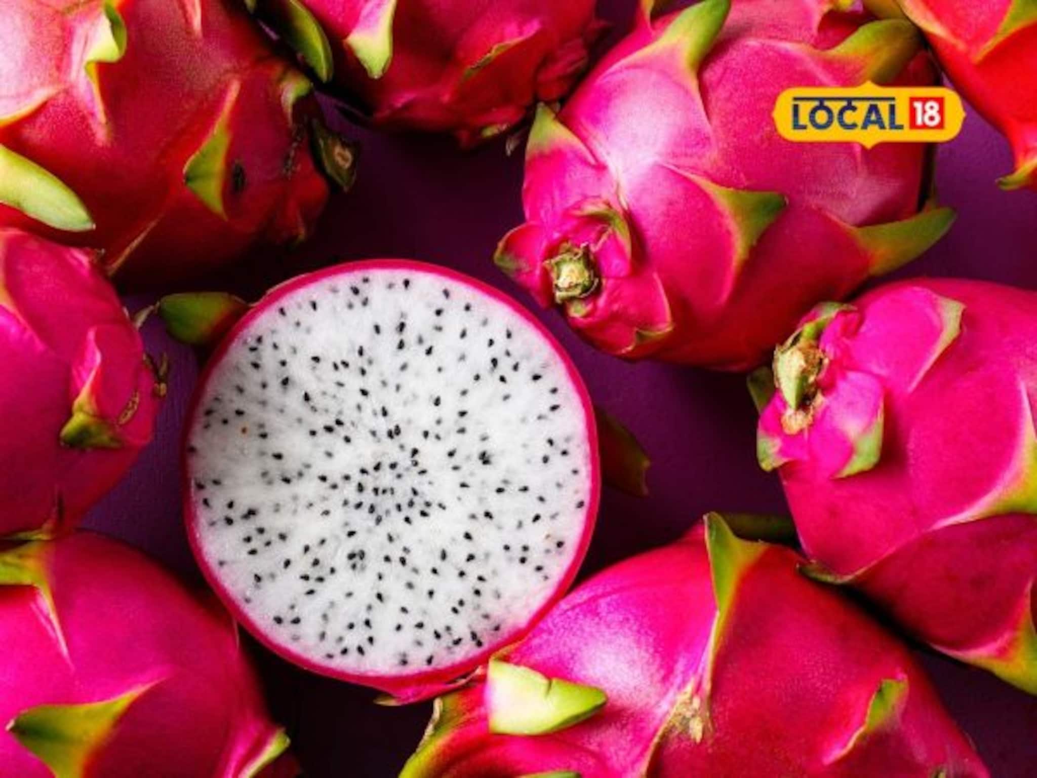 Dragon Fruit Benefits: हृदयाला पोषक अन् मधुमेहाच्या रुग्णांसाठी फायदेशीर, ड्रॅगन फ्रुटचे हे आरोग्यदायी फायदे पाहून चक्रावून जाल! Video