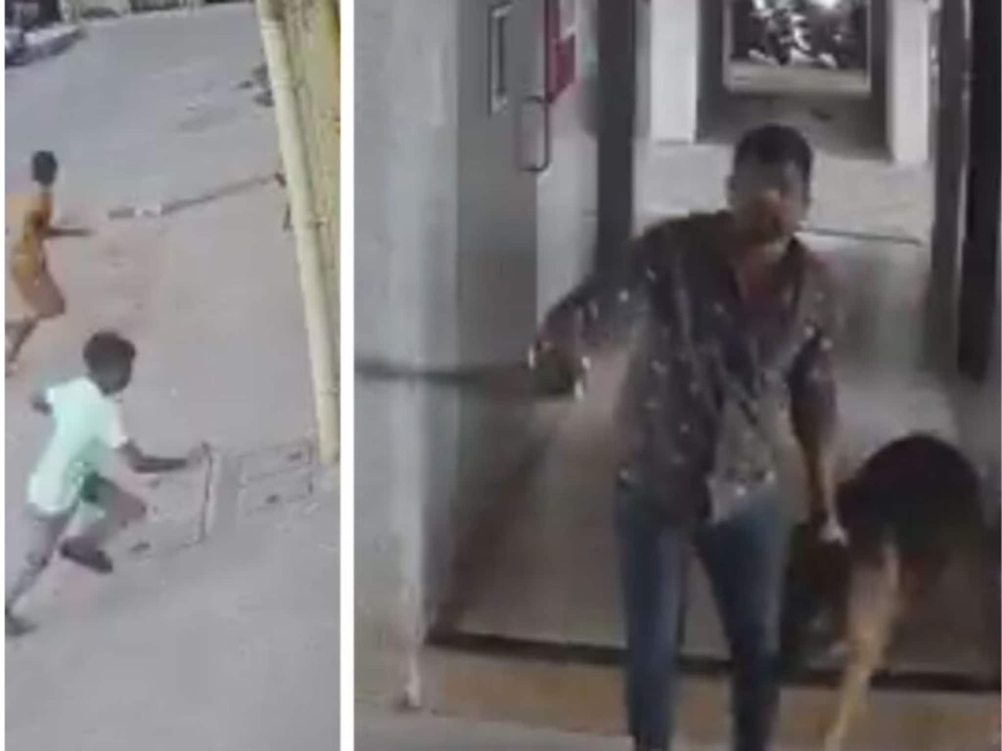 जर्मन शेफर्डचा निष्पाप मुलावर जीवघेणा हल्ला, सीसीटीव्हीमध्ये घटना कैद