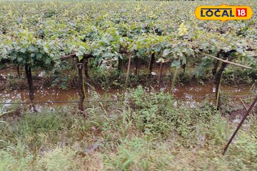 वारं फिरलं, पुणे ते कोल्हापूर विचित्र हवामान, ऑक्टोबरच्या पहिल्याच दिवशी अलर्ट