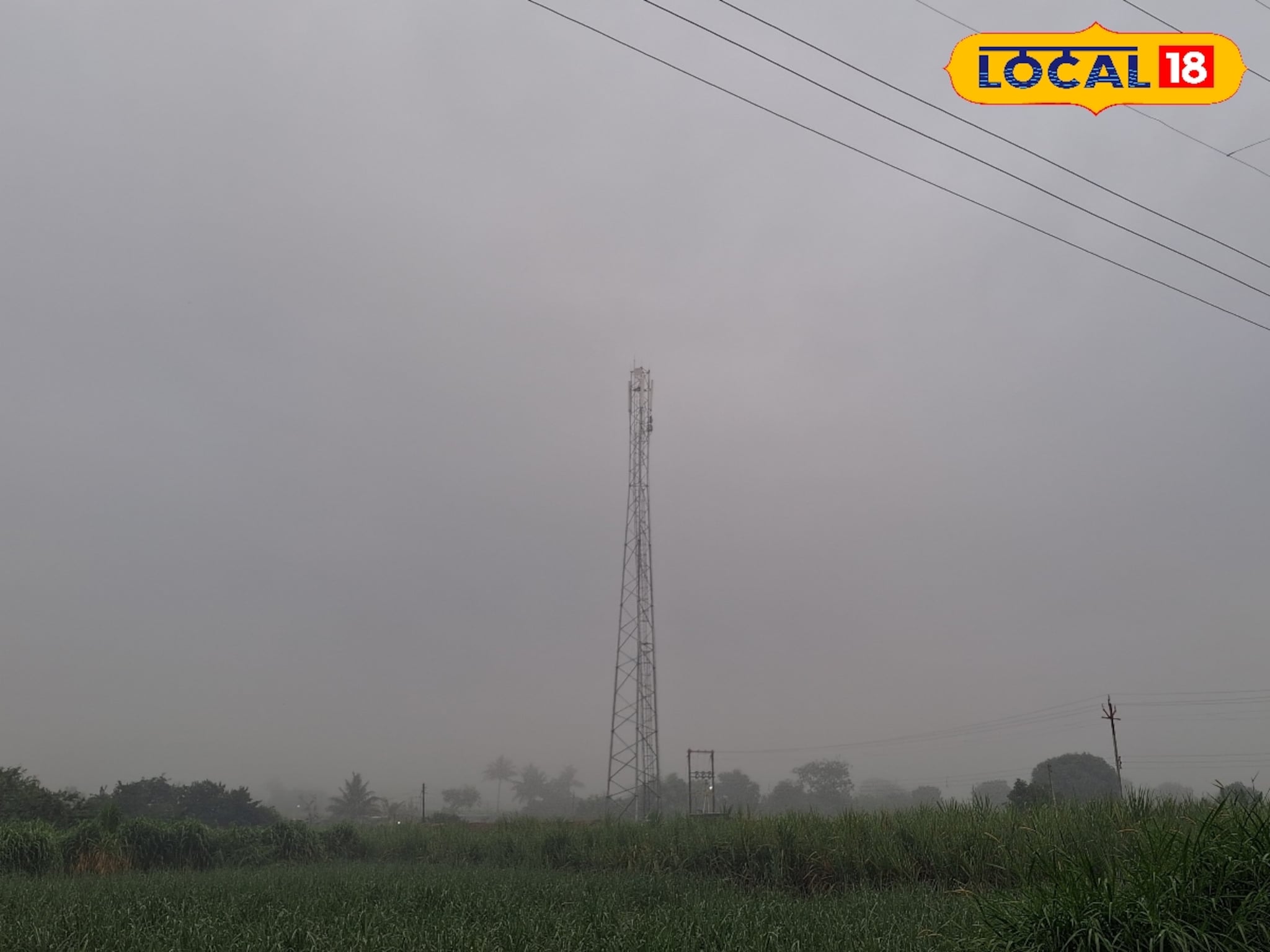 Weather Alert: पश्चिम महाराष्ट्रात वारं फिरलं, एकाच जिल्ह्याला पावसानं घेरलं, 48 तासांसाठी अलर्ट