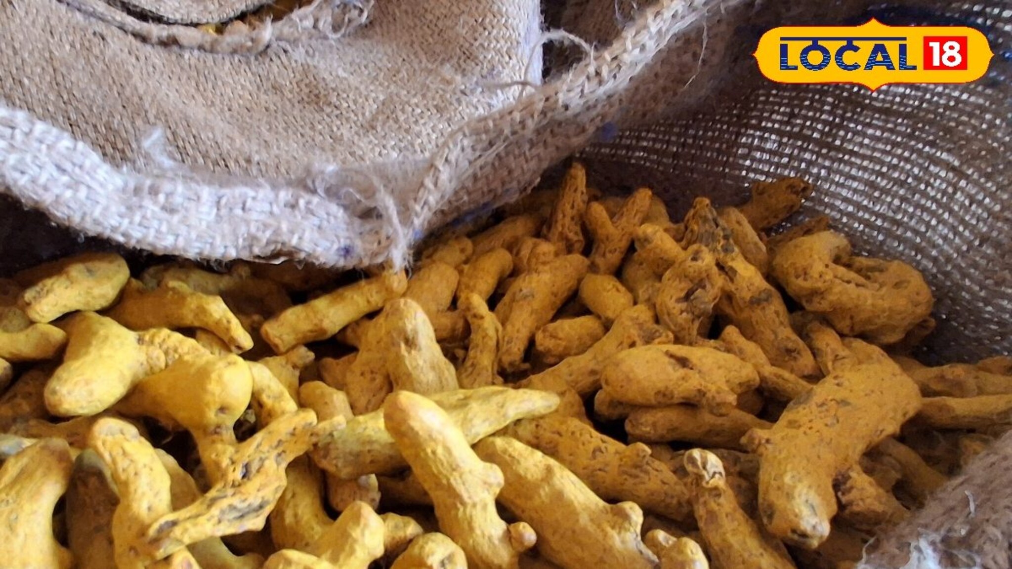 Vegetable Market Price: कृषी बाजारामध्ये शेतीमालांना सर्वाधिक भाव; हळद, कांदा, मका आणि सोयाबीनला दर कसा ?