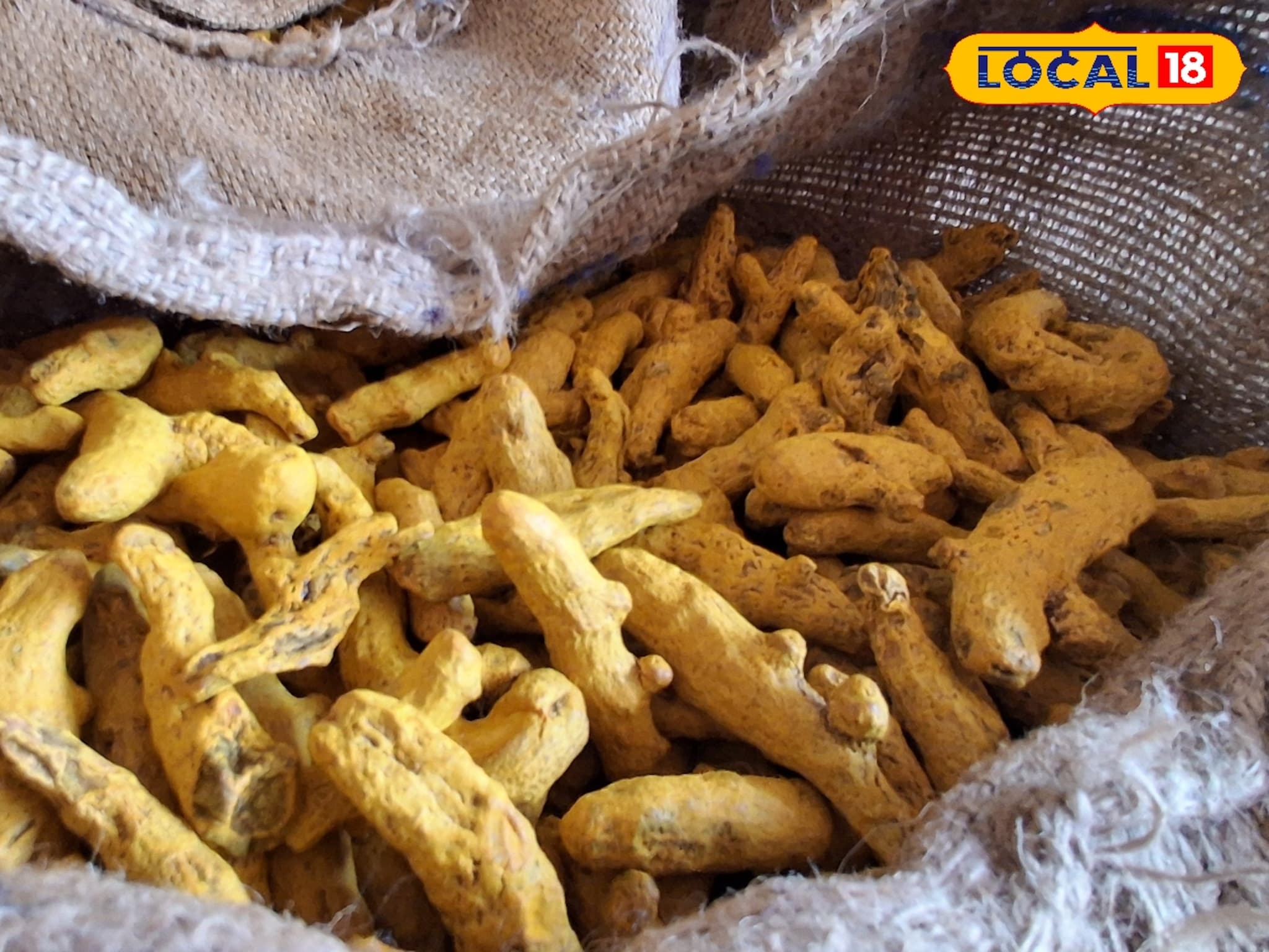 Vegetable Market Price: कृषी बाजारामध्ये शेतीमालांना सर्वाधिक भाव; हळद, कांदा, मका आणि सोयाबीनला दर कसा ?