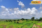 मराठवाड्यात हवा बदलली, पुढील 24 तासांत कसं असेल हवामान? महत्त्वाचं अपडेट