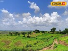 मराठवाड्यात हवा बदलली, पुढील 24 तासांत कसं असेल हवामान? महत्त्वाचं अपडेट