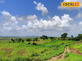 मराठवाड्यात हवा बदलली, पुढील 24 तासांत कसं असेल हवामान? महत्त्वाचं अपडेट