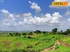 मराठवाड्यात हवा बदलली, पुढील 24 तासांत कसं असेल हवामान? महत्त्वाचं अपडेट