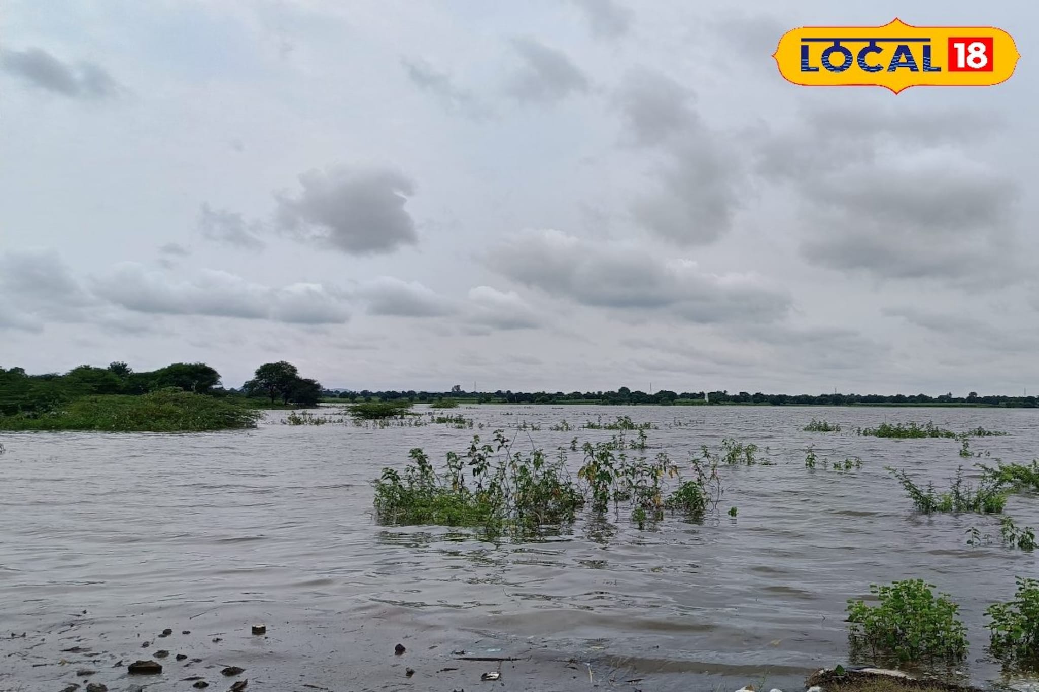 Weather Alert: जाता जाता झोडपणार, मराठवाड्यातील या जिल्ह्यांना पुन्हा अलर्ट, 48 तास धोक्याचे!