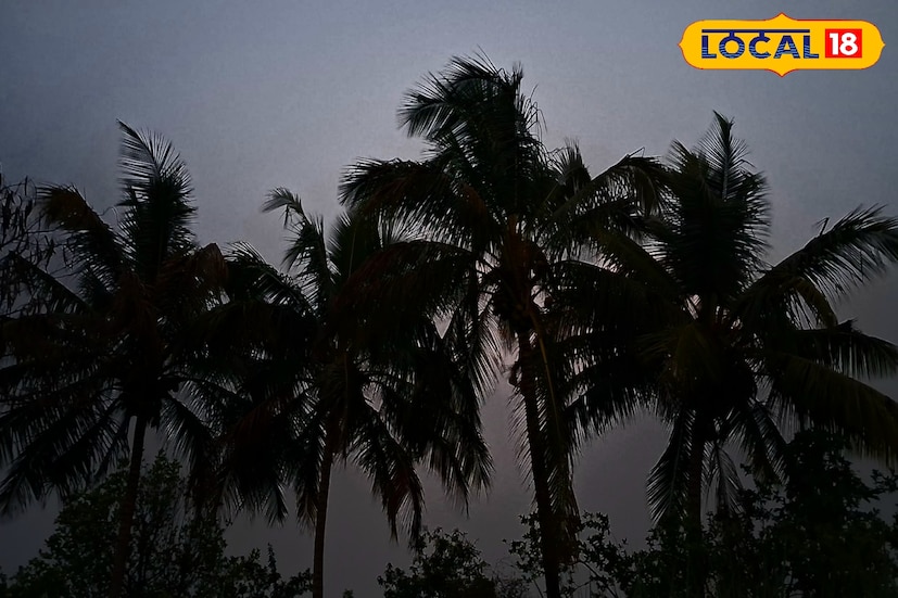 महाराष्ट्रात मान्सूनच्या परतीसाठी पोषक हवामान होत आहे. आज 8 ऑक्टोबर रोजी पूर्व विदर्भात विजांसह पावसाचा अंदाज आहे. तर उत्तर कोकण, उत्तर मराठवाडा, पूर्व तुरळक ठिकाणी विजांसह पावसाच्या सरींची शक्यता हवामान विभागाने वर्तवली आहे. पश्चिम महाराष्ट्रातील हवामान अंदाज जाणून घेऊ. 
