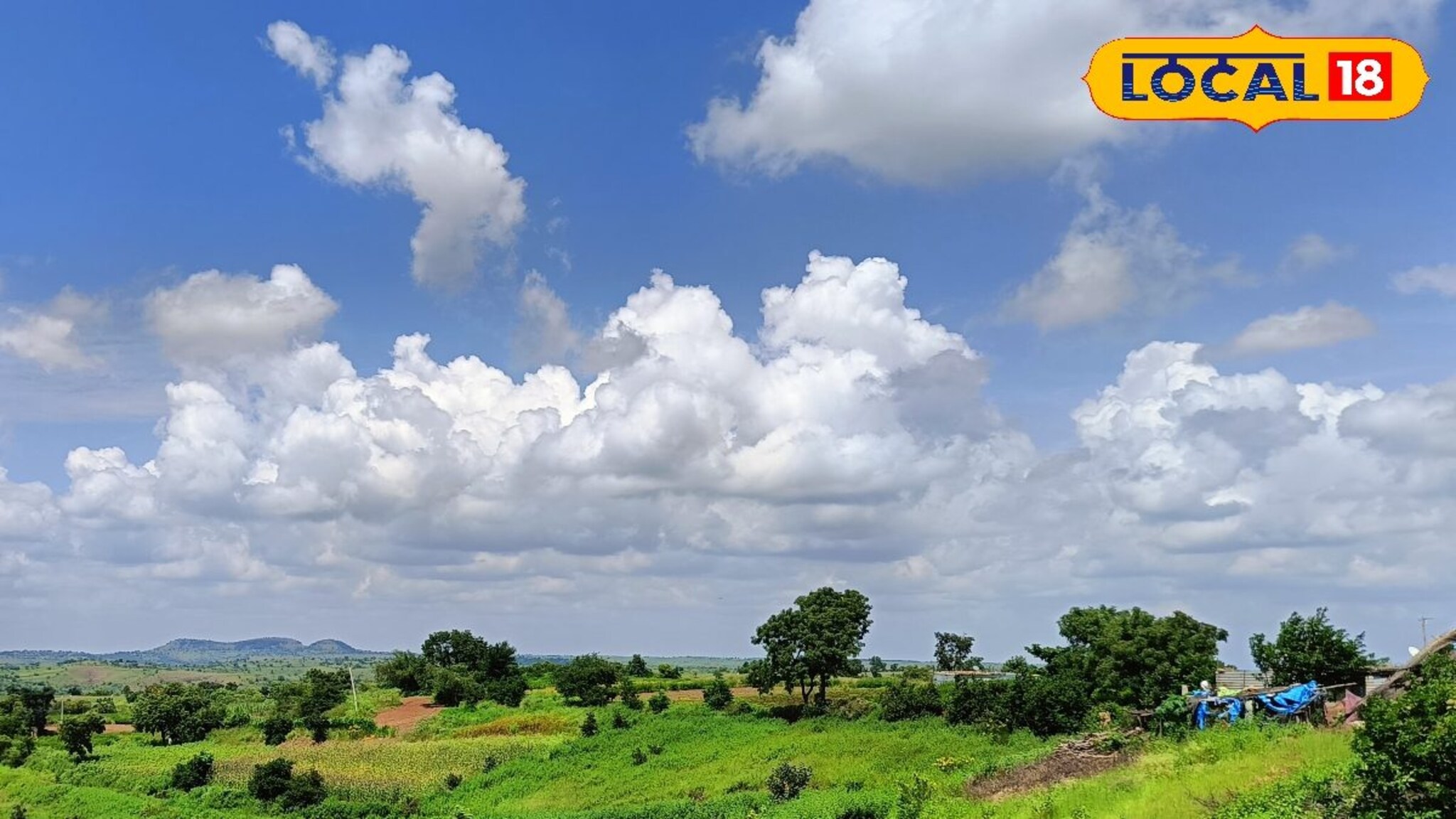 Weather Alert: मराठवाड्यात हवापालट, आज पाऊस की उघडीप, IMD कडून महत्त्वाचं अपडेट