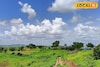 Weather Alert: मराठवाड्यात हवापालट, आज पाऊस की उघडीप, IMD कडून महत्त्वाचं अपडेट