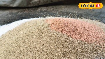 धान्यात