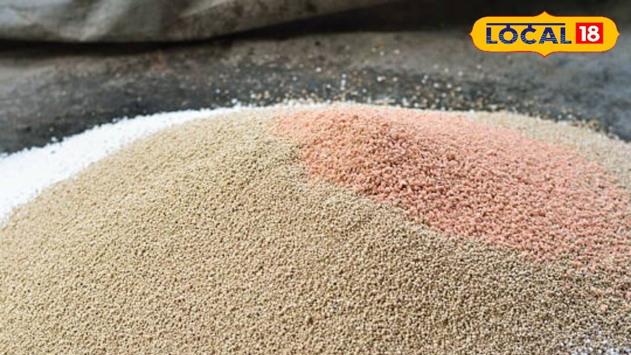 Health Tips : गहू अन् तांदळात रसायनांचा वापर करताय? वेळीच व्हा सावध, नाहीतर शरीरावर होतील हे गंभीर परिणाम