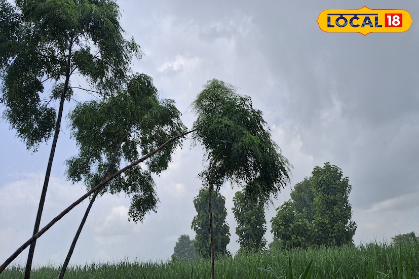 गेल्या 24 तासात सातारा जिल्ह्यातील कमाल तापमान 30.2 अंश सेल्सिअस इतके राहीले. तसेच 7 मिलिमीटर पाऊस नोंदविण्यात आला. आज संपूर्ण साताऱ्यासह सातारा घाटमाथ्यावर विजांसह पावसाची शक्&#x200d;यता हवामान विभागाकडून वर्तवण्यात आली आहे.