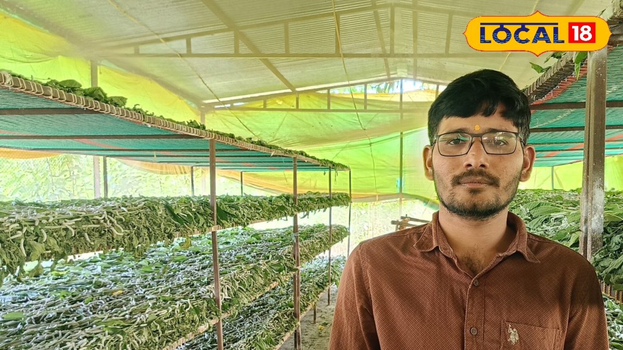 Success Story : 30 हजार रुपये पगाराची नोकरी सोडली, रेशीम शेतीने नशीब पालटलं, वर्षाला 7 लाखांची कमाई