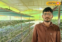 Success Story : 30 हजार रुपये पगाराची नोकरी सोडली, रेशीम शेतीने नशीब पालटलं, वर्षाला 7 लाखांची कमाई