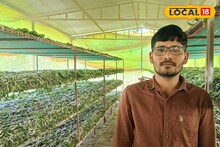 30 हजार रुपये पगाराची नोकरी सोडली, रेशीम शेतीने नशीब पालटलं, 7 लाखांची कमाई