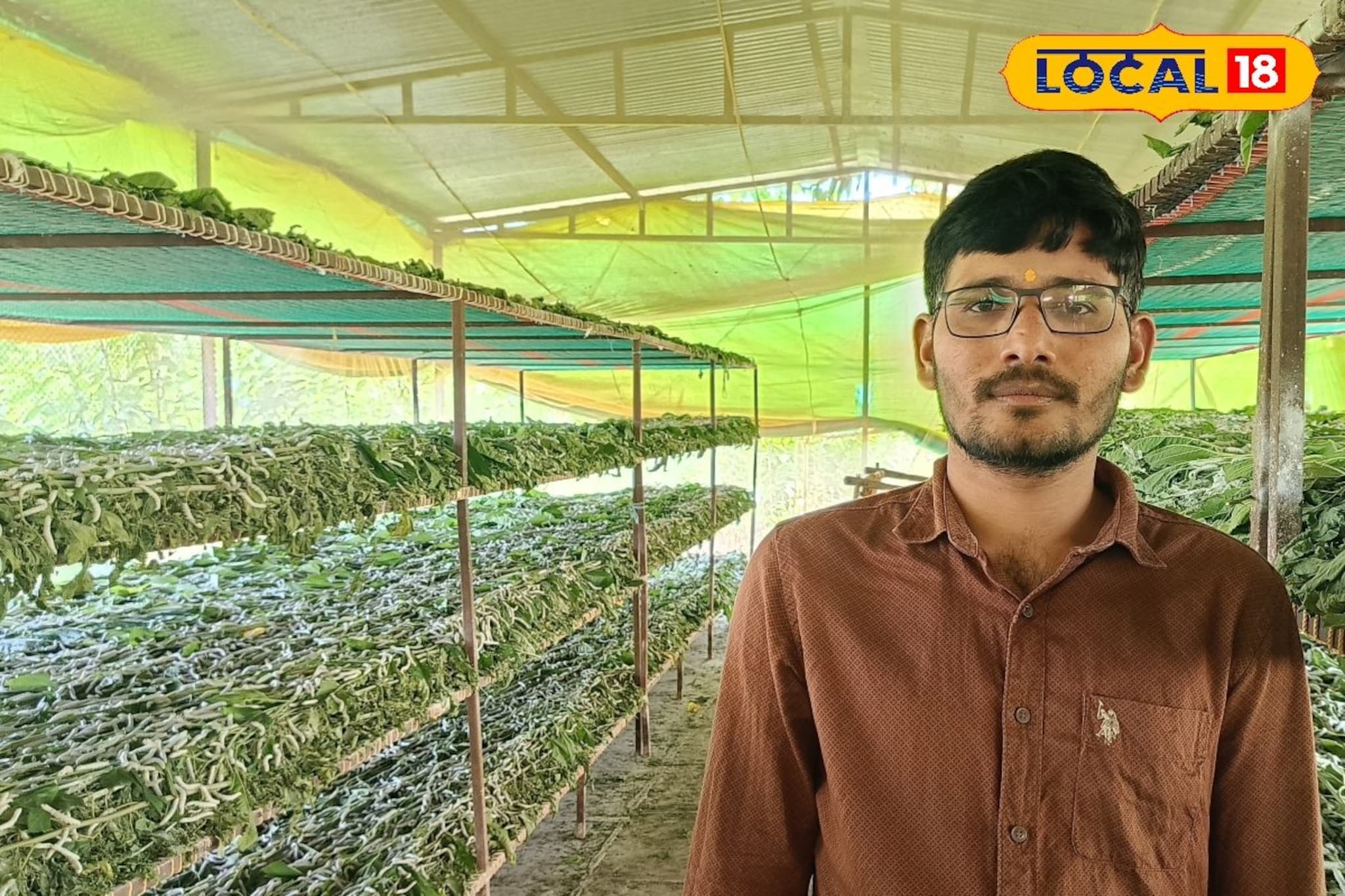 Success Story : 30 हजार रुपये पगाराची नोकरी सोडली, रेशीम शेतीने नशीब पालटलं, वर्षाला 7 लाखांची कमाई