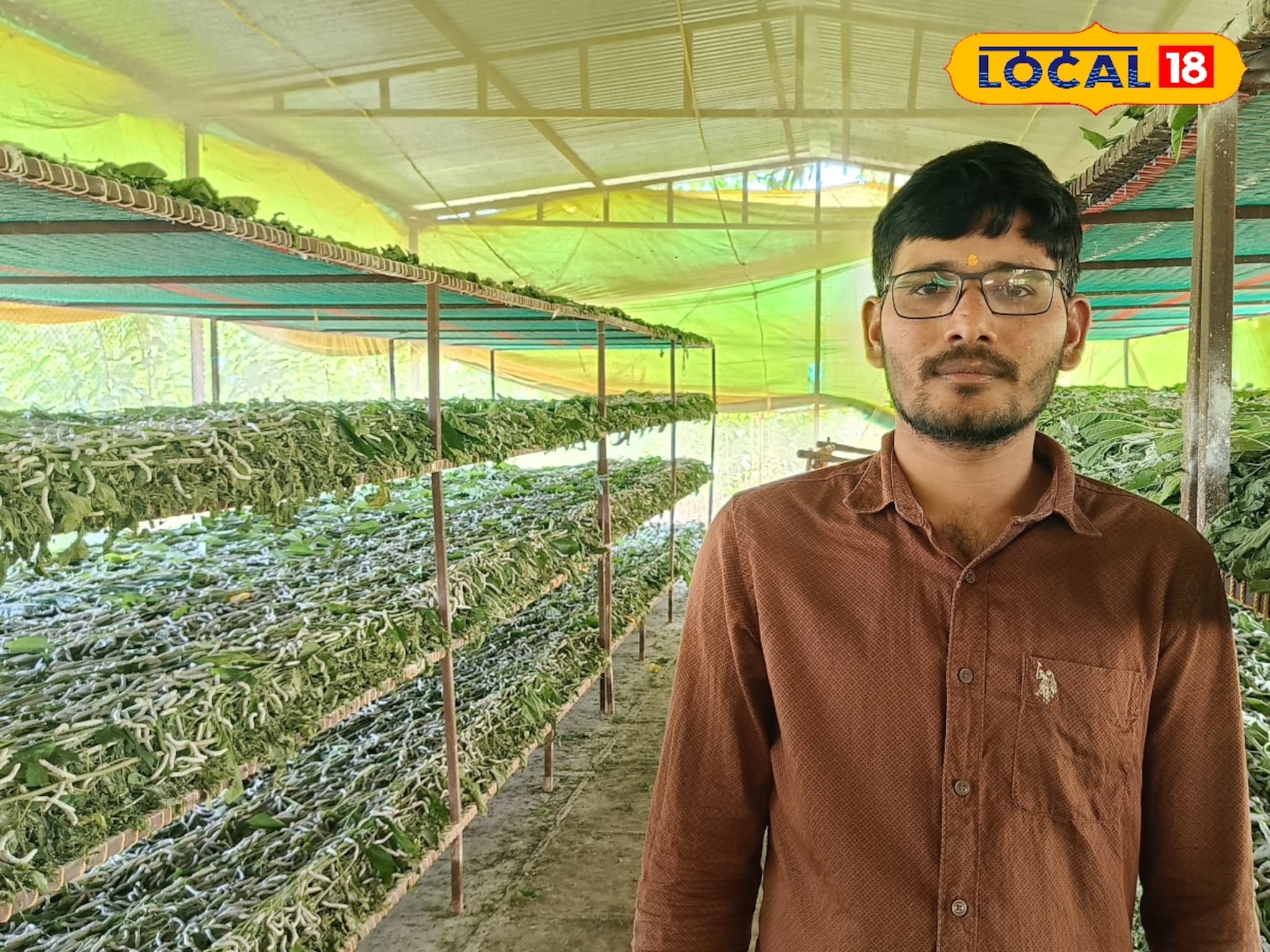 Success Story : 30 हजार रुपये पगाराची नोकरी सोडली, रेशीम शेतीने नशीब पालटलं, वर्षाला 7 लाखांची कमाई