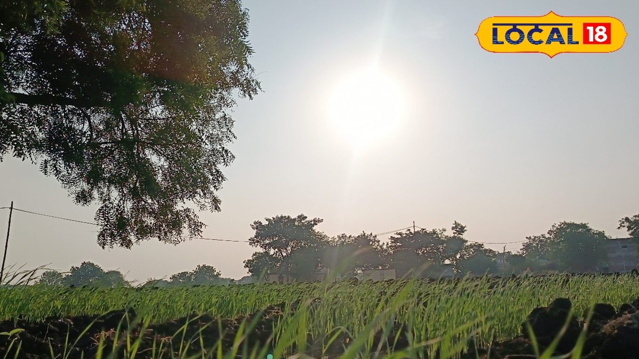 Weather Alert: काळजी घ्या! दिवाळीआधी मराठवाड्यावर नवं संकट, IMD कडून महत्त्वाचं अपडेट