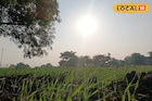 काळजी घ्या! दिवाळीआधी मराठवाड्यावर नवं संकट, IMD कडून महत्त्वाचं अपडेट