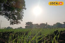 Weather Alert: काळजी घ्या! दिवाळीआधी मराठवाड्यावर नवं संकट, IMD कडून महत्त्वाचं अपडेट