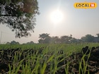 काळजी घ्या! दिवाळीआधी मराठवाड्यावर नवं संकट, IMD कडून महत्त्वाचं अपडेट