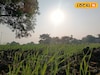 काळजी घ्या! दिवाळीआधी मराठवाड्यावर नवं संकट, IMD कडून महत्त्वाचं अपडेट
