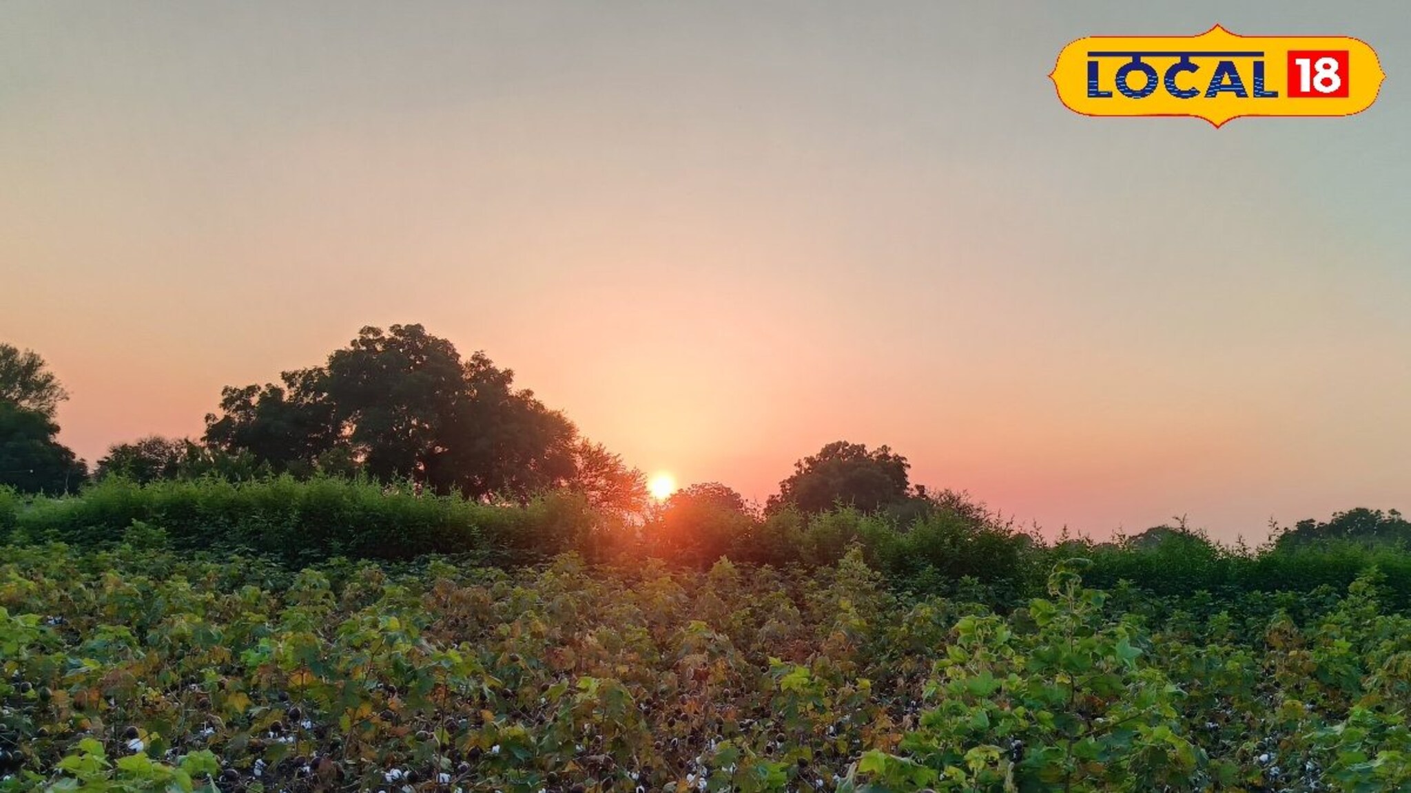 Marathwada Weather : मराठवाड्यातील हवामानात मोठे बदल, तापमानात वाढ कायम, आज काय राहील स्थिती?