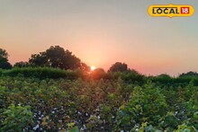 Marathwada Weather : मराठवाड्यातील हवामानात मोठे बदल, तापमानात वाढ कायम, आज काय राहील स्थिती?