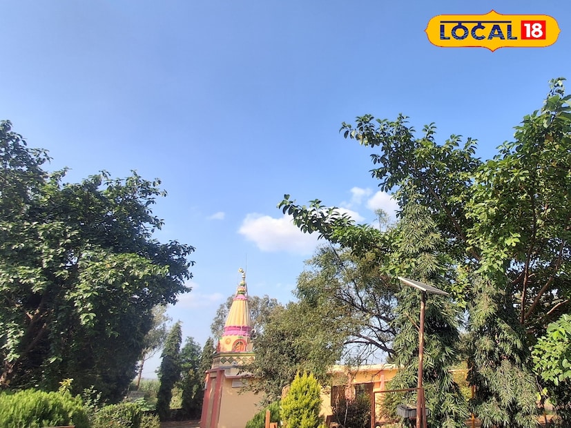 धाराशिवमध्ये कमाल तापमानात वाढ होण्याची शक्यता आहे. एक नोव्हेंबर रोजी कमाल तापमान 31 अंश सेल्सिअस तर किमान तापमान 19 एवढं असेल. 1 आणि 3 नोव्हेंबर रोजी हलक्या ते मध्यम पावसाची शक्यता आहे. तर 2 नोव्हेंबर रोजी दमट हवामान राहण्याचा अंदाज हवामान विभागाने वर्तवला आहे.